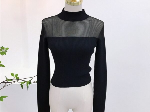 GetSpring Women T Shirt Full Sleeves Stand Collar Organza Perspective Black Tshirt Sexy Bottoming Short Black Tee Shirt Spring